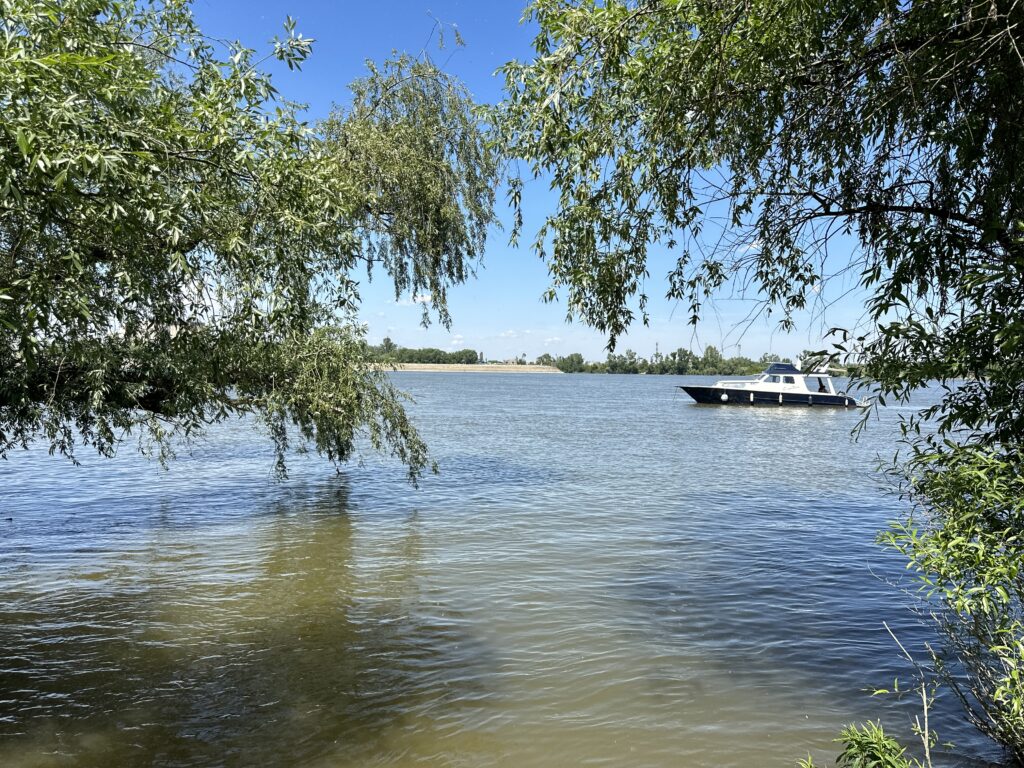 Novi Sad river view with a boat cruising by.