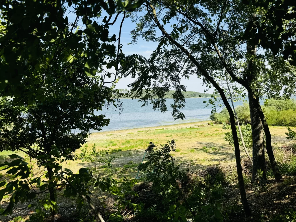 The view from our Bulgarian lunch time picnic spot. From here you can see the Danube