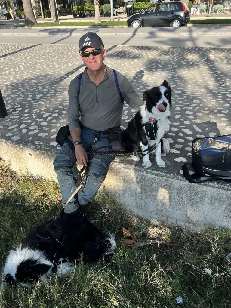 Ken és Molly egy patkán ülnek és várják, hogy Zsófi kijöjjön a tengerből, míg Ricky egy gombócként alszik Ken lábánál.