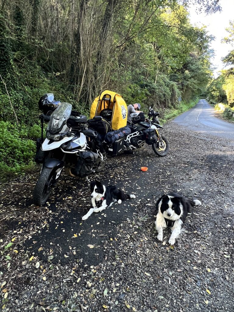 Egy erdőszéli parkolás végén a kutyák a motor mellett fekszenek.