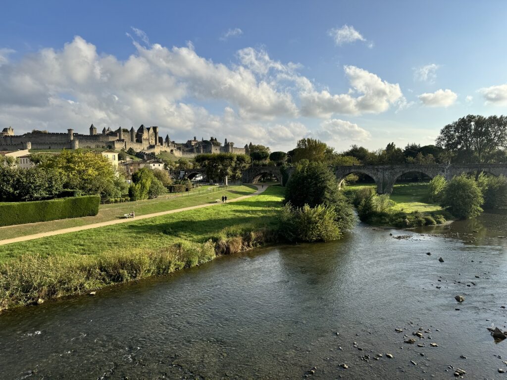 Carcassone város részlet.