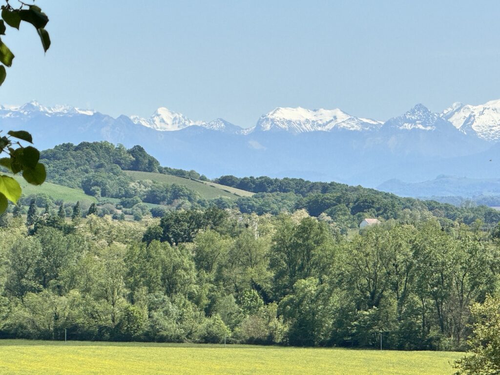 Sauveterre-de-Béarnben a parkból látszódott a Pyreneusok havas hegycsúcsa, miközben az előttünk eltürölő táj gazdag zöld színekben pompázott.