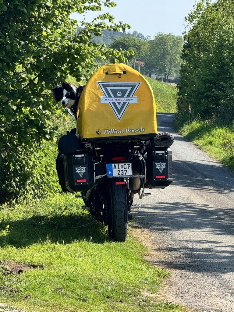 Molly a motorról bámul vissza ránk indulásra készen.