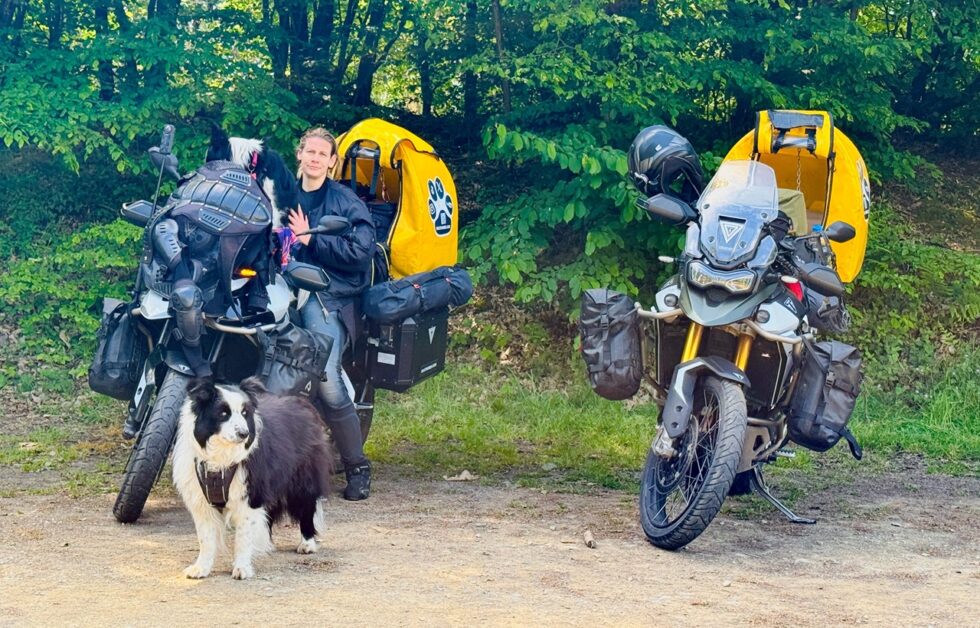 Zsófi a parkoló motoroknál, Molly a tankon, Ricky a motor előtt pózól a szép zöld környezetben.