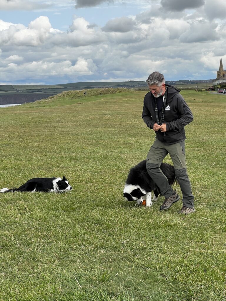 Ken a kutyákkal játszik Anglia észak-keleti tengerpartján.