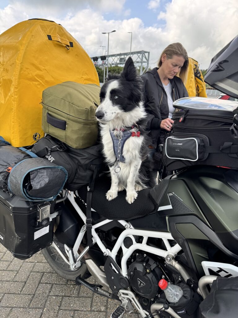 Molly a motoron ül, mintha ő lenne a sofőr.