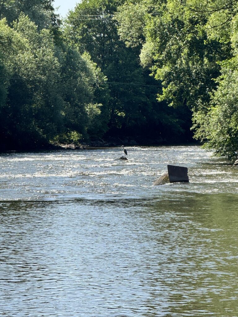 Folyó a Fort Geronimo kemping partján.