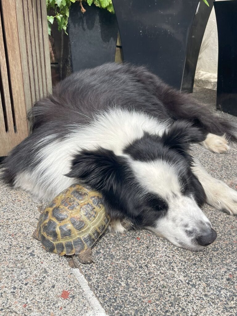 Ricky és Nardo összebújva.